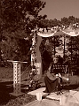 DSC02262