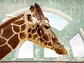 040124-zoo