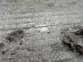 040127-hail