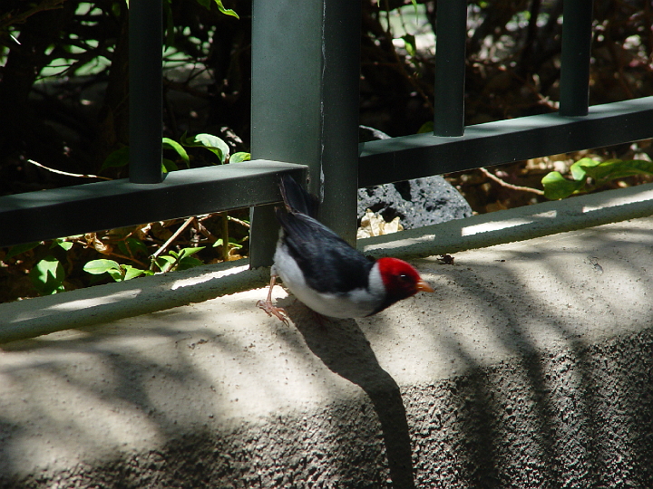 DSC02802.jpg