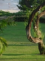 DSC02796