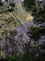 DSC02851