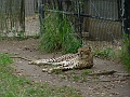 DSC03101