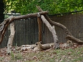 DSC03102