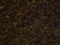 CIMG0452