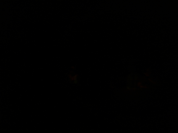 CIMG0950.jpg