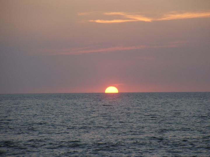 DSCF2619.jpg