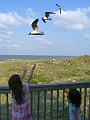070707-NorthCarolina