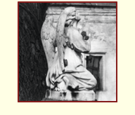 the angel
